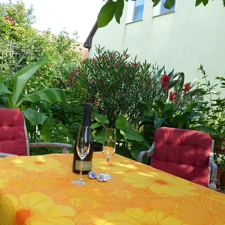 Seeadler - Marienfelde