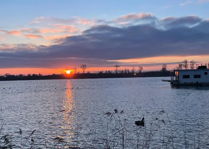 Seeadler - Marienfelde