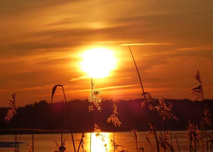 Seeadler - * Marienfelde