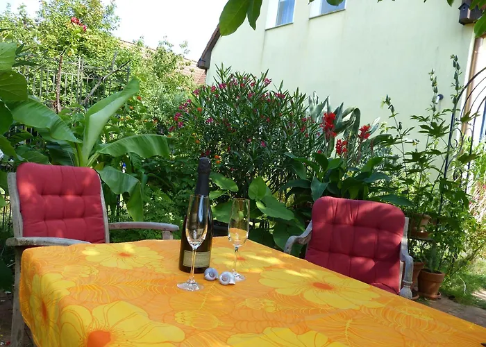 Seeadler - Marienfelde