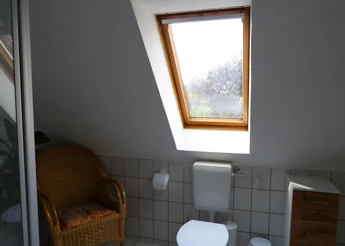 Seeadler - * Marienfelde